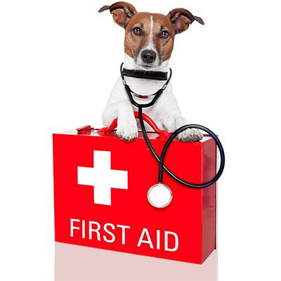 Emergency Care