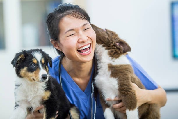 Happy pet with vet