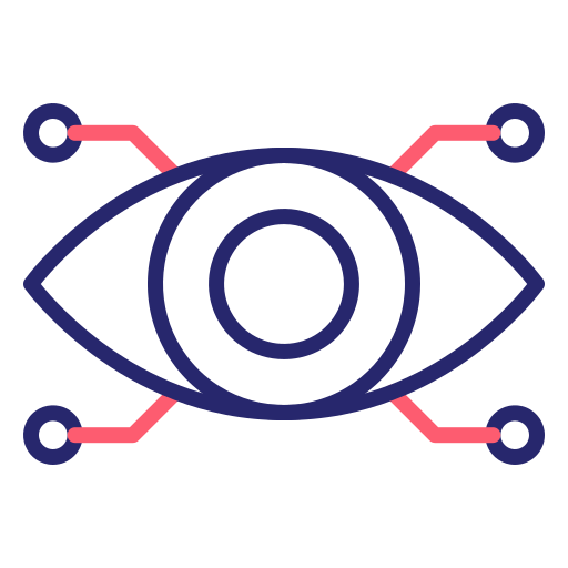 Vision